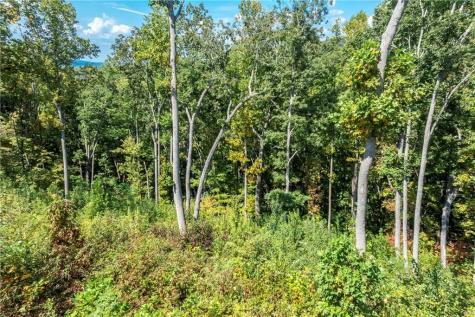 0 Highgrove Drive Talking Rock GA 30175