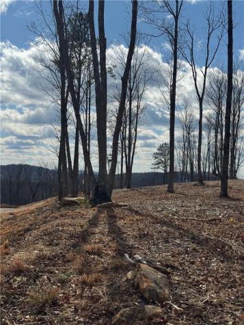 0 Highgrove Drive Talking Rock GA 30175
