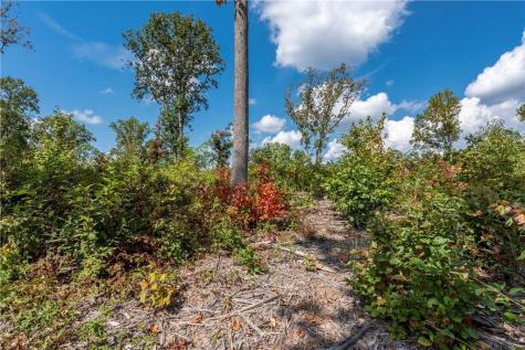 0 Highgrove Drive Talking Rock GA 30175