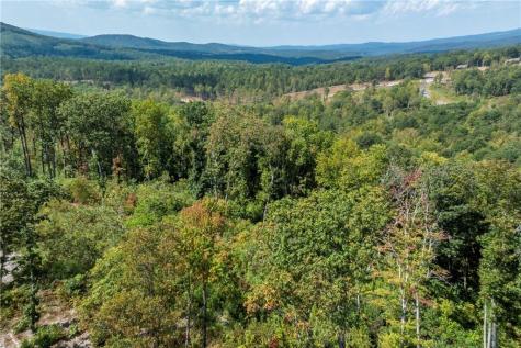 0 Highgrove Drive Talking Rock GA 30175
