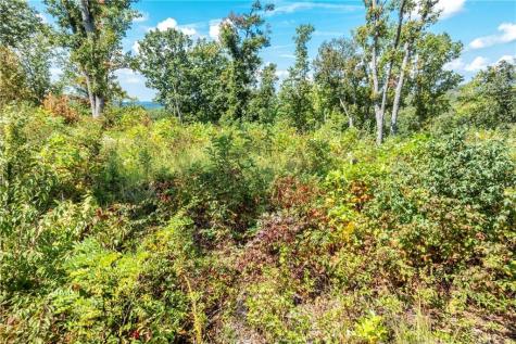 0 Highgrove Drive Talking Rock GA 30175