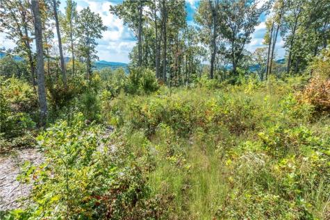 0 Highgrove Drive Talking Rock GA 30175
