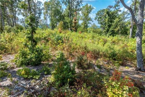 0 Highgrove Drive Talking Rock GA 30175