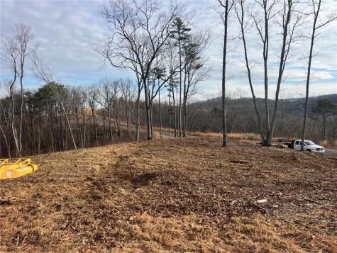 0 Highgrove Drive Talking Rock GA 30175