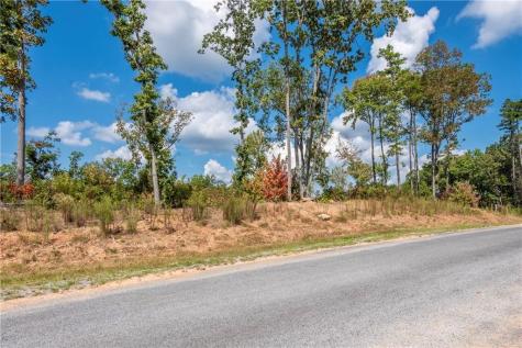 0 Highgrove Drive Talking Rock GA 30175
