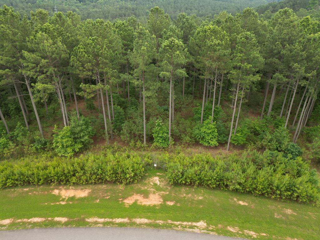 Lot 148 Stables Loop Blairsville GA 30512