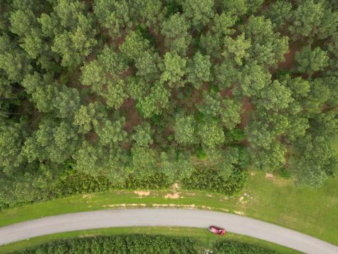 Lot 148 Stables Loop Blairsville GA 30512