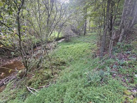 0 Wildcat Drive Murphy NC 28906