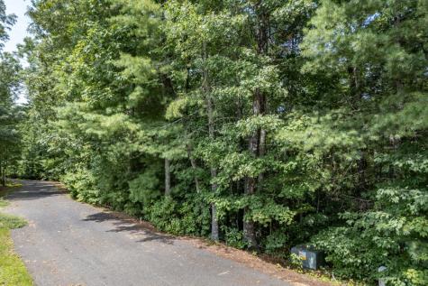Lot 18 The Ridges Of Carolina Murphy NC 28906