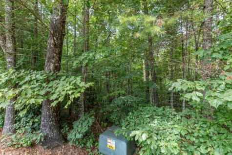Lot 18 The Ridges Of Carolina Murphy NC 28906