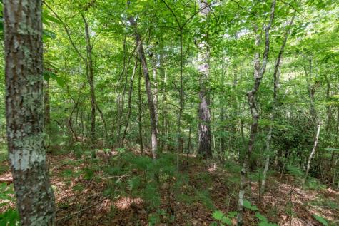 Lot 18 The Ridges Of Carolina Murphy NC 28906