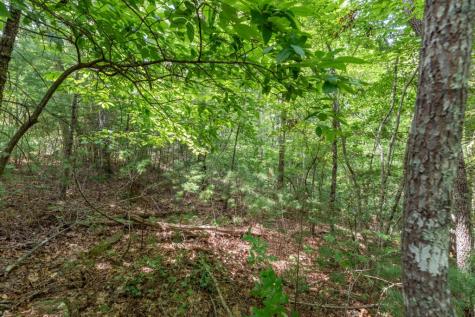 Lot 18 The Ridges Of Carolina Murphy NC 28906