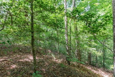 Lot 18 The Ridges Of Carolina Murphy NC 28906