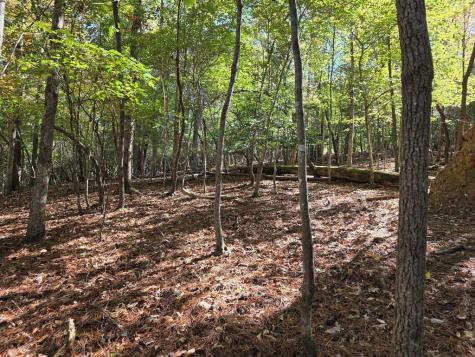 Lot #385 Zenith Trail Ellijay GA 30540