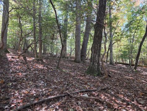 Lot #385 Zenith Trail Ellijay GA 30540