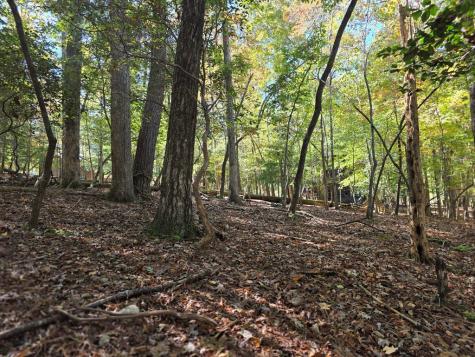 Lot #385 Zenith Trail Ellijay GA 30540