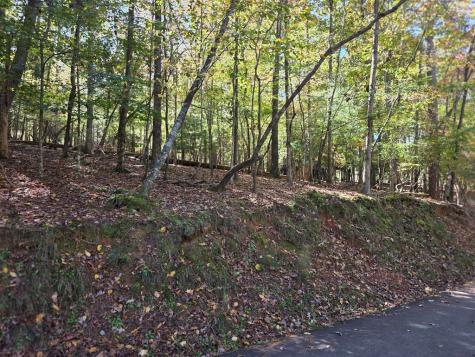 Lot #385 Zenith Trail Ellijay GA 30540