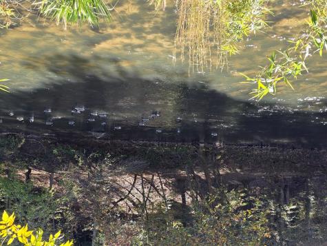 Lot #385 Zenith Trail Ellijay GA 30540