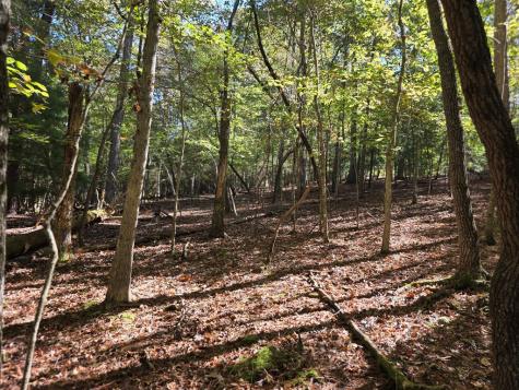 Lot #385 Zenith Trail Ellijay GA 30540