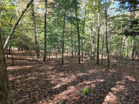 Lot #385 Zenith Trail Ellijay GA 30540