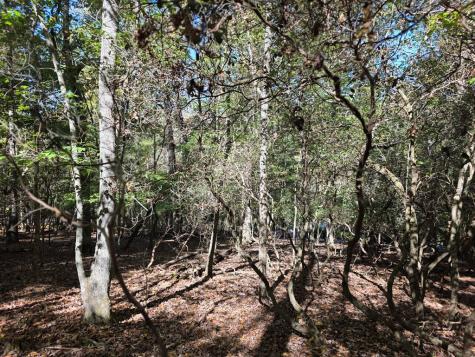 Lot #385 Zenith Trail Ellijay GA 30540