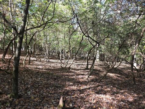 Lot #385 Zenith Trail Ellijay GA 30540