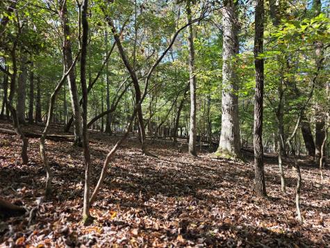 Lot #385 Zenith Trail Ellijay GA 30540