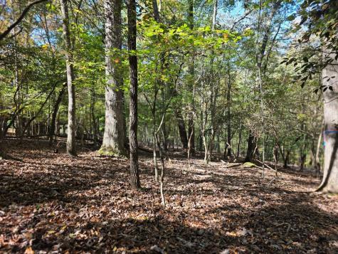 Lot #385 Zenith Trail Ellijay GA 30540