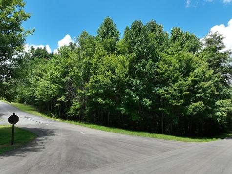 122 Cloudland Drive Ellijay GA 30536