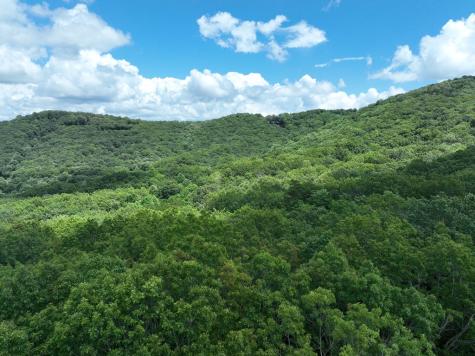 122 Cloudland Drive Ellijay GA 30536