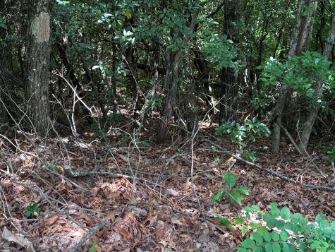 122 Cloudland Drive Ellijay GA 30536