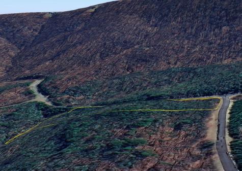 122 Cloudland Drive Ellijay GA 30536