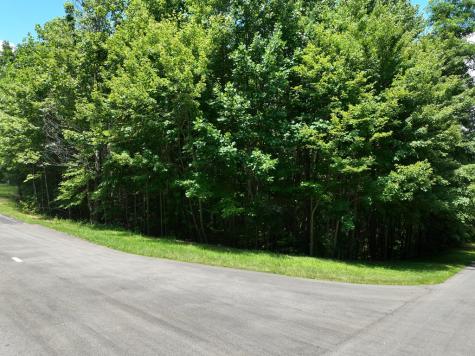 122 Cloudland Drive Ellijay GA 30536