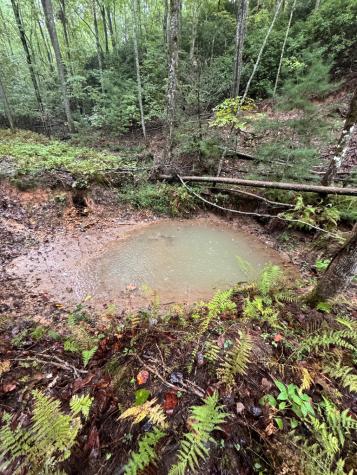 111 Kanati Trail Murphy NC 28906