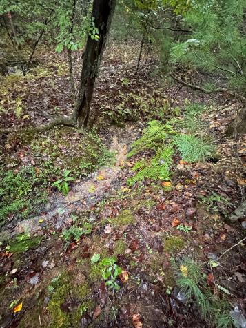 111 Kanati Trail Murphy NC 28906