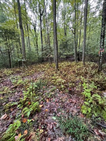 111 Kanati Trail Murphy NC 28906