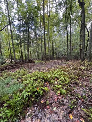 111 Kanati Trail Murphy NC 28906