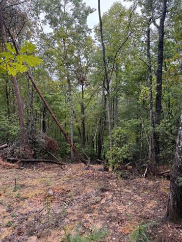 111 Kanati Trail Murphy NC 28906