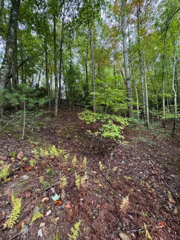 111 Kanati Trail Murphy NC 28906