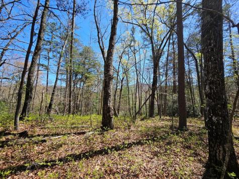 5.2 Deer Crest Road Blue Ridge GA 30513