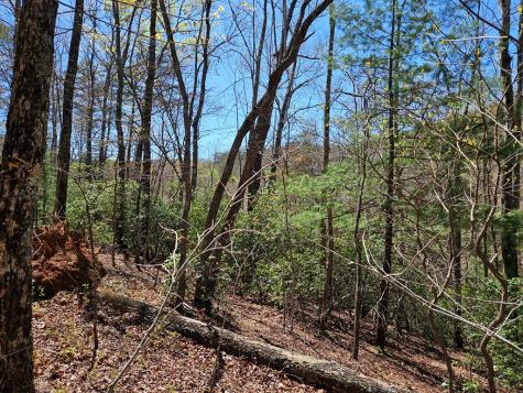 5.2 Deer Crest Road Blue Ridge GA 30513