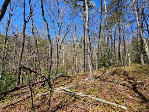 5.2 Deer Crest Road Blue Ridge GA 30513