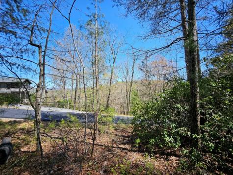 5.2 Deer Crest Road Blue Ridge GA 30513