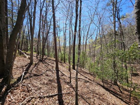 5.2 Deer Crest Road Blue Ridge GA 30513