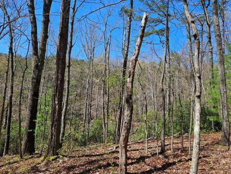 5.2 Deer Crest Road Blue Ridge GA 30513