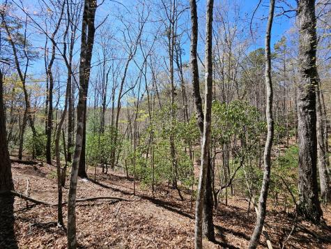 5.2 Deer Crest Road Blue Ridge GA 30513