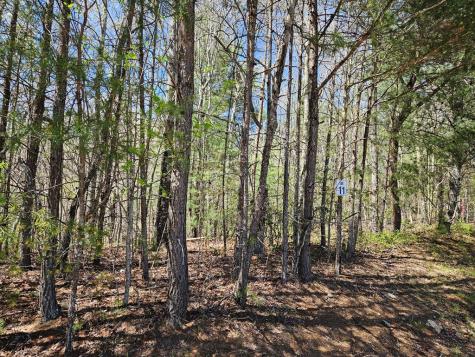 5.2 Deer Crest Road Blue Ridge GA 30513