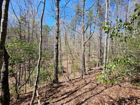 5.2 Deer Crest Road Blue Ridge GA 30513