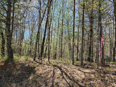 5.2 Deer Crest Road Blue Ridge GA 30513