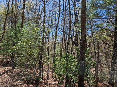 5.2 Deer Crest Road Blue Ridge GA 30513